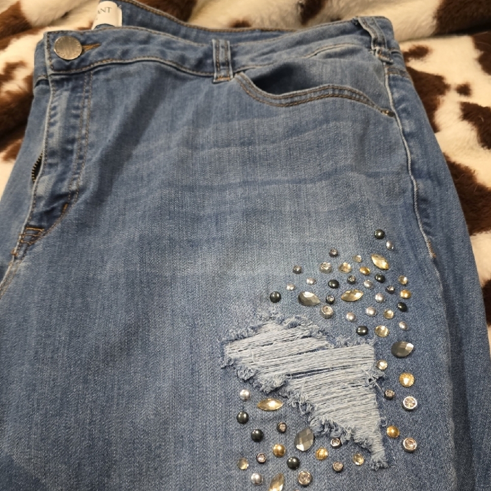 Lane Bryant Light Blue Skinny Jeans with Embellishments